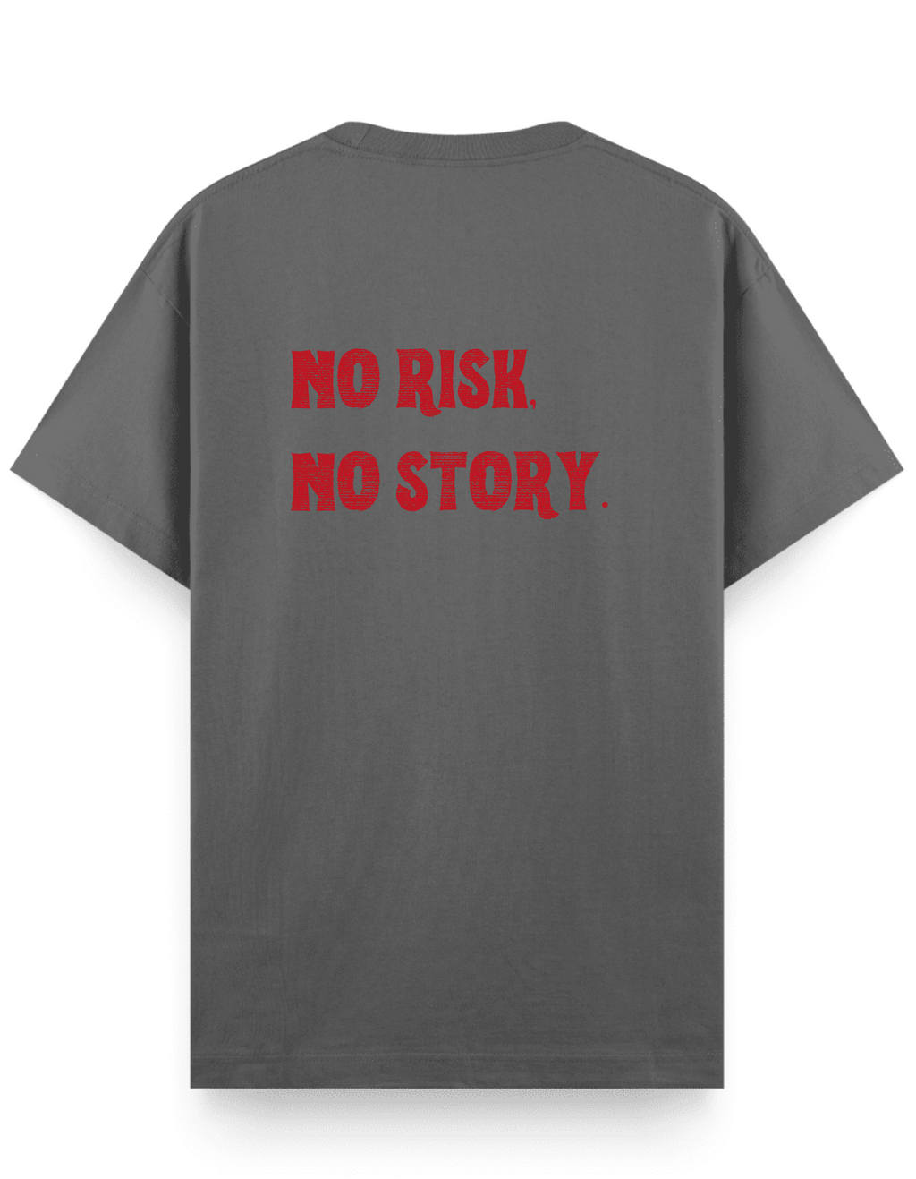 No Risk No Story - Regular T-Shirt