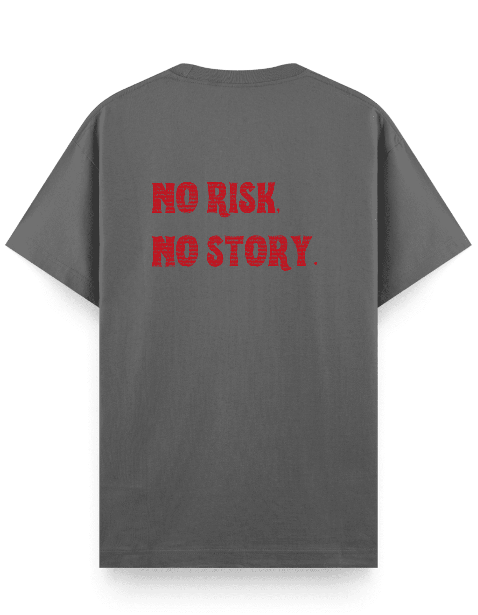 No Risk No Story - Regular T-Shirt