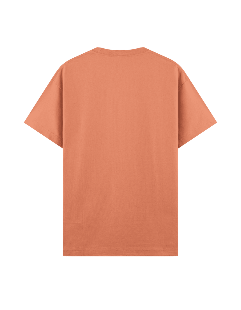 Hot Girl Read - Regular T-Shirt